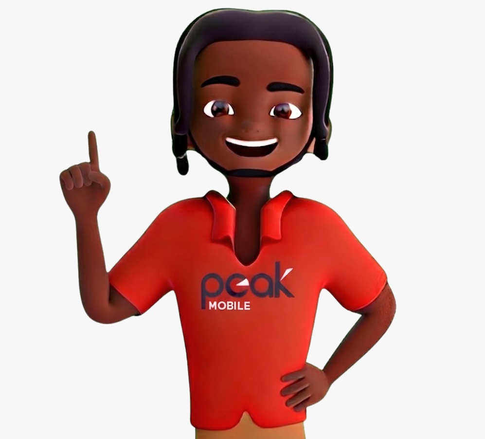 Chat with Peak Mobile Assistant